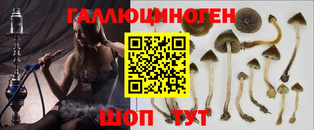 Псилоцибиновые грибы прущие грибы  Галлюциногенные грибы Cubensis  Вход с VPN  Самара 